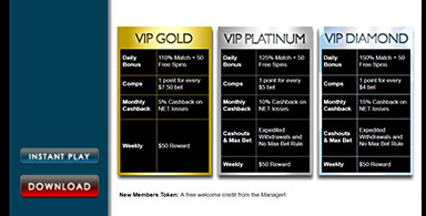 VIP Program.