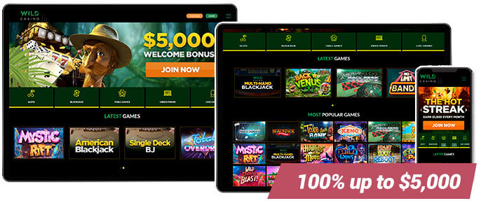 Best Casino Wild Casino Screens