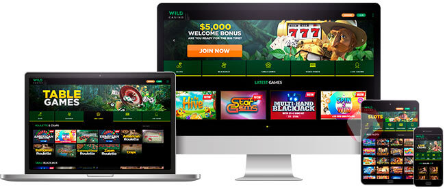 Image of Wild Casino on Different Devices