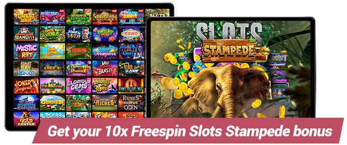 Wild Casino Slots Stampede Bonus